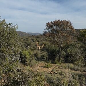 Meet your Posher, Colton